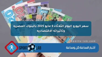 سعر اليورو اليوم الثلاثاء 6 مايو 2025 بالبنوك المصرية وتأثيراته الاقتصادية